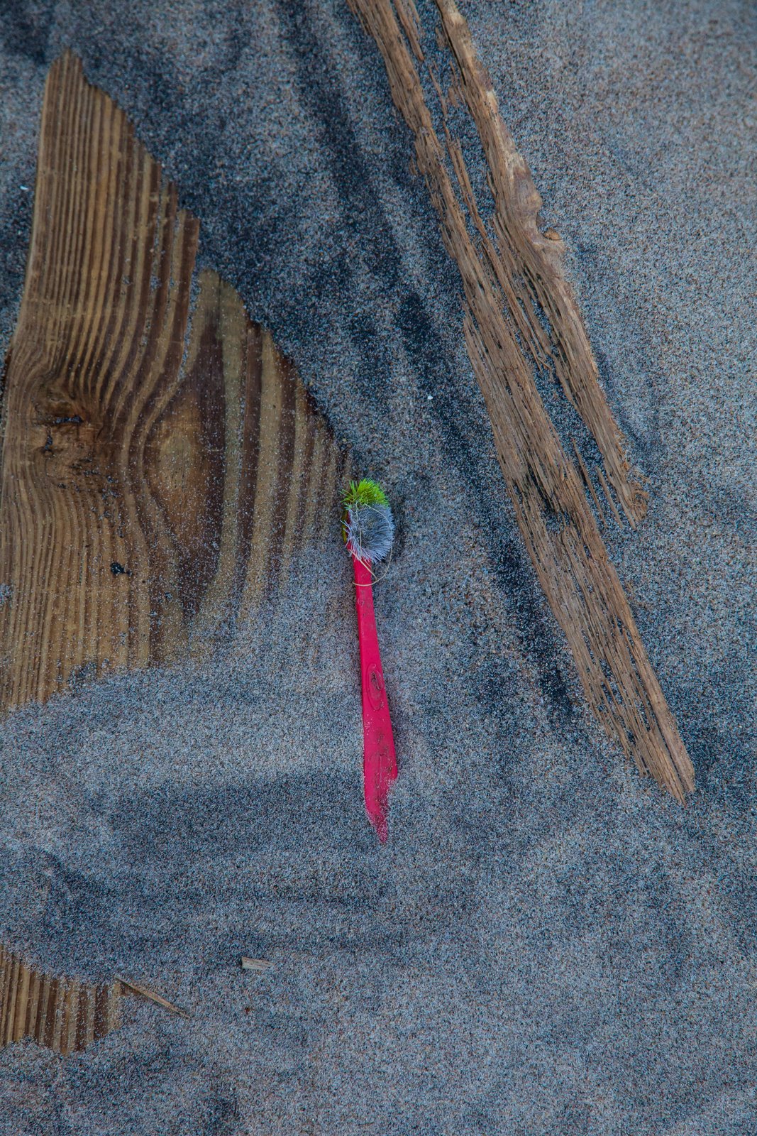 art-of-sandy-mo-seagate 2-63.jpg